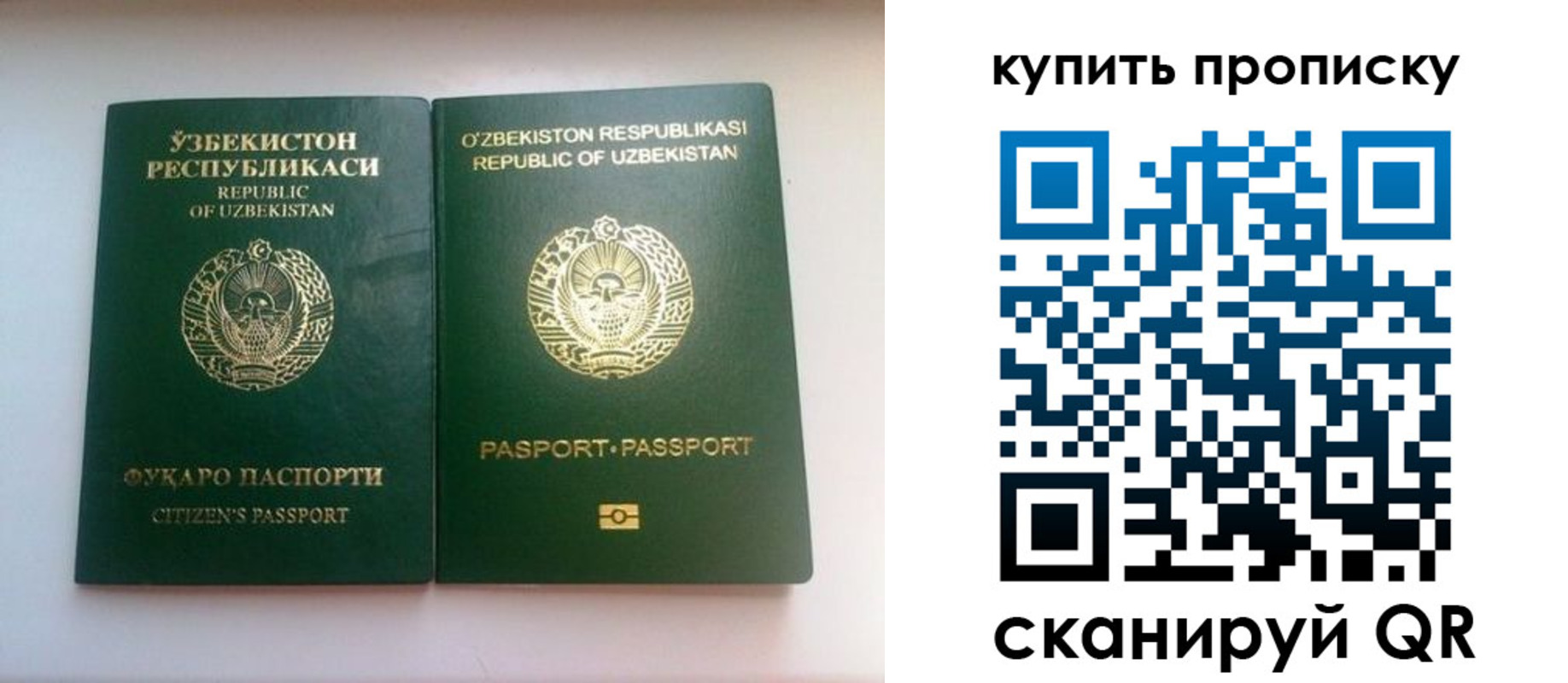 прописка в квартире в Богородске